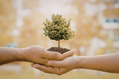 licenciamento ambiental