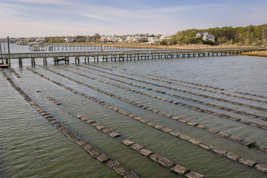 projeto de piscicultura
